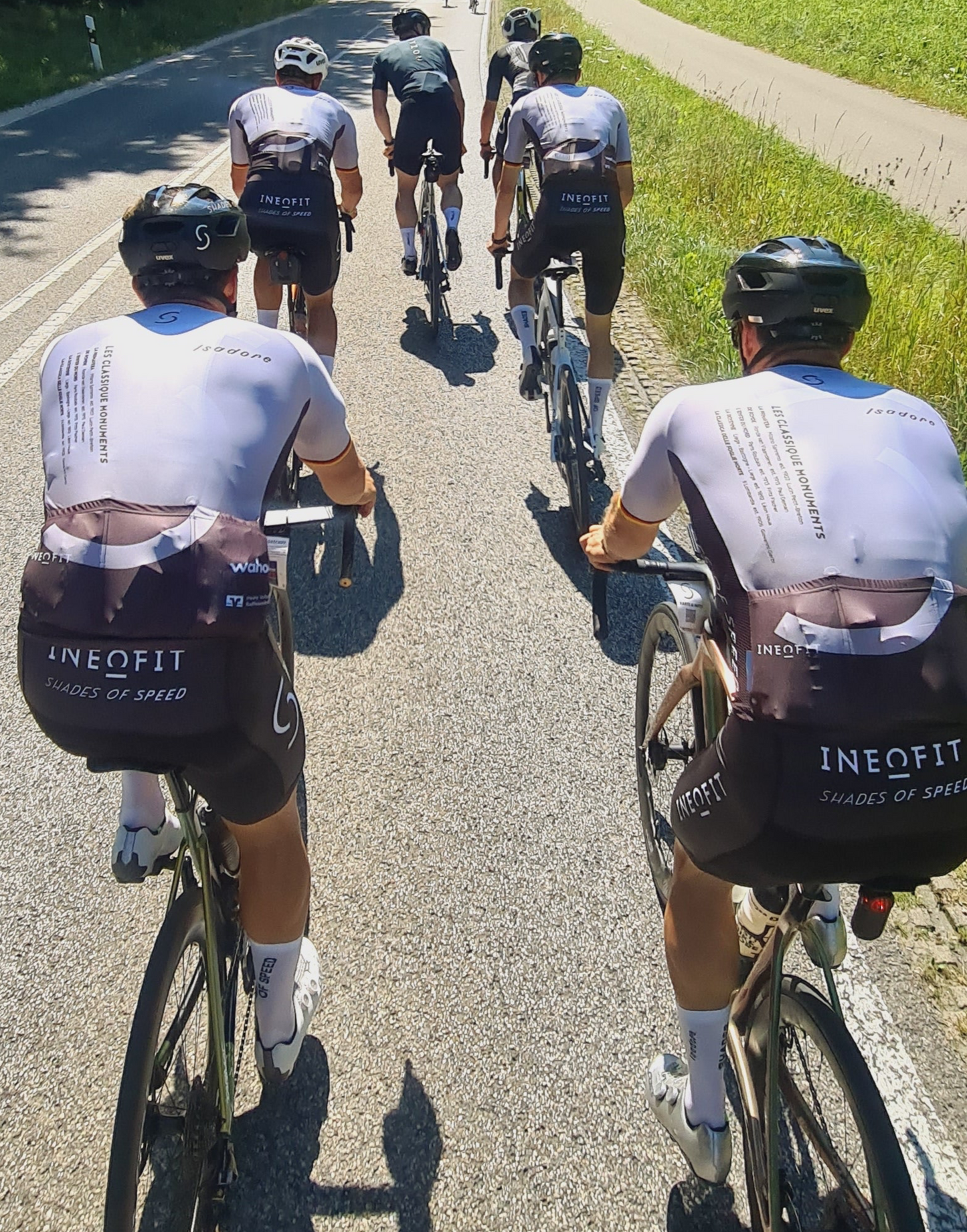 Shades of Speed 2024 limited Edition Radhose
